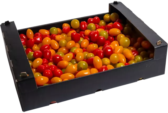 Snacktomaat mix kist 4 kilogram